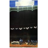 Good Sports Art New York Giants Yankee Stadium Gridiron Lithograph