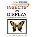 Insects on Display: A Guide to Mounting & Displaying Insects