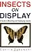 Insects on Display: A Guide to Mounting & Displaying Insects