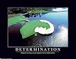 Determination, Motivational Poster