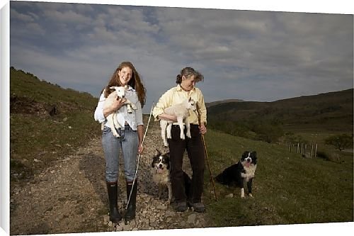 Canvas Prints of Best of British from Country Life 