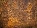Autumn Colors in the Jefferson National Forest Photographic Poster Print by Raymond G...
