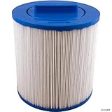 Filbur FC-0418 Antimicrobial Replacement Filter Cartridge for Master Pool and Spa Filters