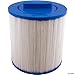 Filbur FC-0418 Antimicrobial Replacement Filter Cartridge for Master Pool and Spa Filters
