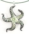 Necklace: Starfish