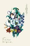 Art Poster, Lily Ensemble - 20x30