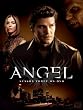 Angel - Season Three (Slim Set)