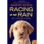 Racing In The Rain: My Life as a Dog by Garth Stein