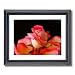 Pink Rose Flowers Photo Home Decor Wall Picture Framed Art Print