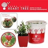 ���i�̏ڍ�