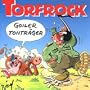 Goiler Tontrager