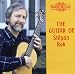 Image of Guitar of Stepan Rak