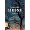 Get to know Hermann Hesse's fiction