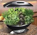 AeroGrow AeroGarden Pro 100 with Gourmet Herb Seed Kit