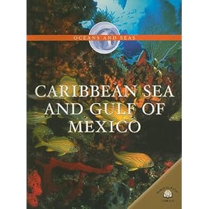 Caribbean Sea And Gulf of Mexico (Oceans and Seas) by Jen Green