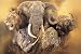 African Wildlife Jigsaw Puzzle: Majestic Big Five