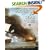 Scourge of the Seas: Buccaneers, Pirates and Privateers (General Military): Buccaneers, Pirates and Privateers (General Military)