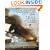 Scourge of the Seas: Buccaneers, Pirates and Privateers (General Military)