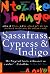 Sassafras, Cypress and Indigo