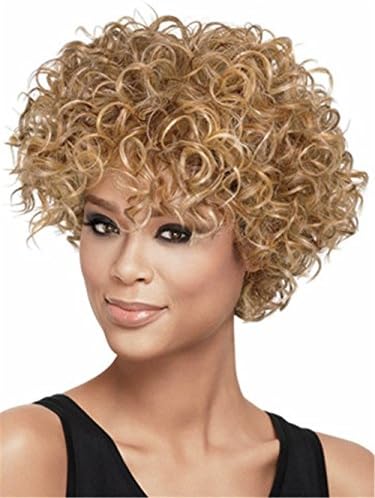 Meditative Rose africans wig female head fleeciness small volume explosion short curly wig (as shown in the picture 2)