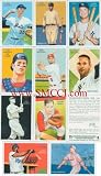 Strictly Mint Card Co.