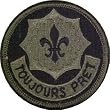2nd ACR (Armored Cavalry Regiment) Subdued Patch