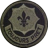 2nd ACR (Armored Cavalry Regiment) Subdued Patch