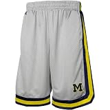 Michigan Wolverines Silver Transition Mesh Shorts
