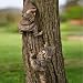 Outdoor-Figur Zwerg
