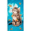 Kitten Staring-Into-A-Goldfish-Bowl Beach Towel