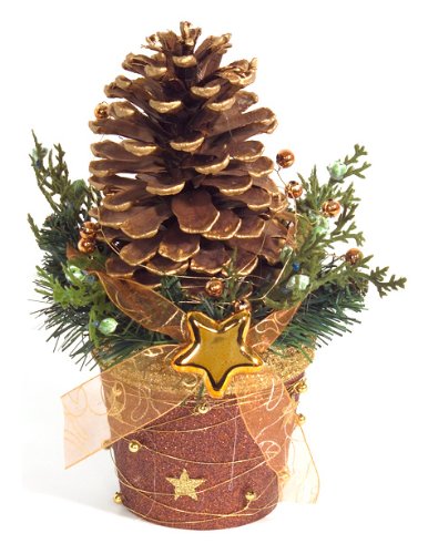 Brauns-Heitmann 80159 Tischdekoration, Zappen, im Topf, ca. 21 cm, braun / gold