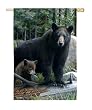 Bears Silk Reflections Regular Size Flag