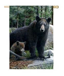 Bears Silk Reflections Regular Size Flag