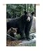 Bears Silk Reflections Regular Size Flag