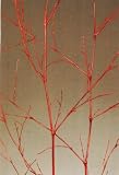 Green Earth Accents Bamboo Spray 5 Feet Tall, Package of 5