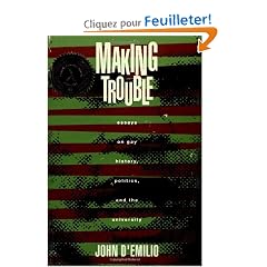 Making Trouble: Essays on Gay History, Politics, and the University