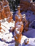Wallmonkeys Peel and Stick Wall Decals - Thor's Hammer Hoodoo in Bryce Canyon National Park - Removable Graphic