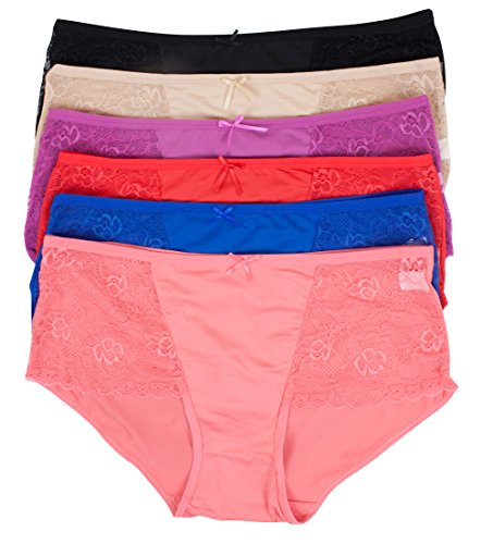 Barbra's 6 Pack Women's Floral Embroidered Side Silky Plus Size Hipster Panties