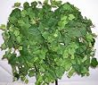 Artificial Piggyback Ivy Ledge