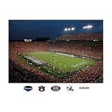 NCAA Auburn Tigers Jordan-Hare Stadium Mural Wall Graphic