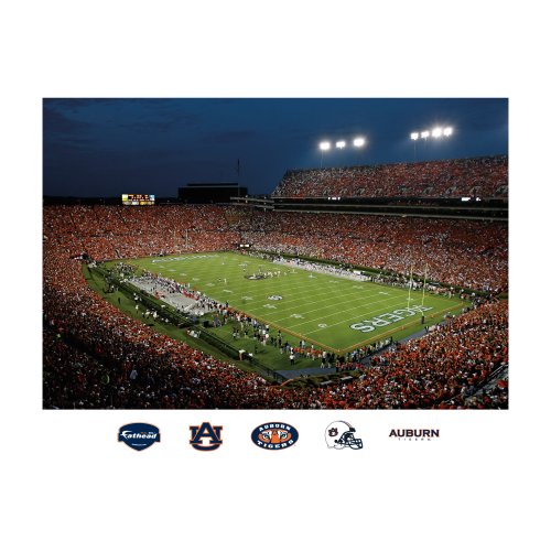 NCAA Auburn Tigers Jordan-Hare Stadium Mural Wall Graphic at Amazon.com