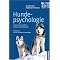Hunde - Training und Verhalten