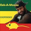 Eeksperience