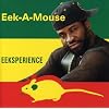 Eeksperience