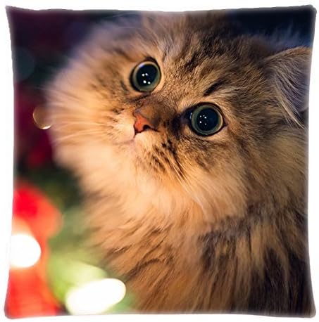 Twothird Cute Beautiful Lovely Cat On Pray Decorative Cushion Cover For Couch Car Pillowcase Sofa Chair Seat Throw Pillow Cover, 18x18 Inch 45*45 cm(Twin Sides)