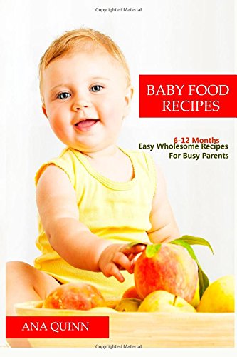 baby food recipes easy wholesome recipes for busy parents 6 12 months