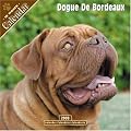 Dogue De Bordeaux 2008 Wall Calendar