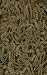 10'0 x 10'0 Dalyn Rug Company Casual Elegance 944 - Avocado Square