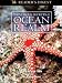 Wondrous Secrets of the Ocean Realm: City in the Sea & Star Gardens