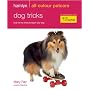 Dog Tricks: Fun Tricks to Teach Your Dog (Hamlyn All Colour 200)